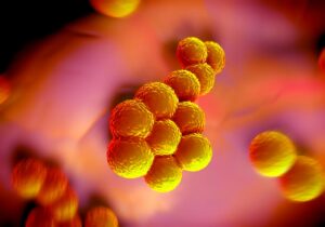 Read more about the article Principii ale antibioterapiei